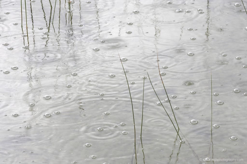 raindrops on a lake