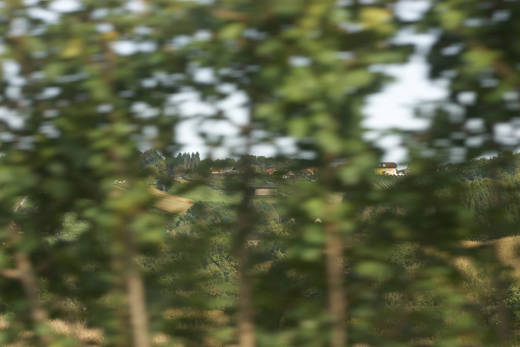 blurry image from a car window