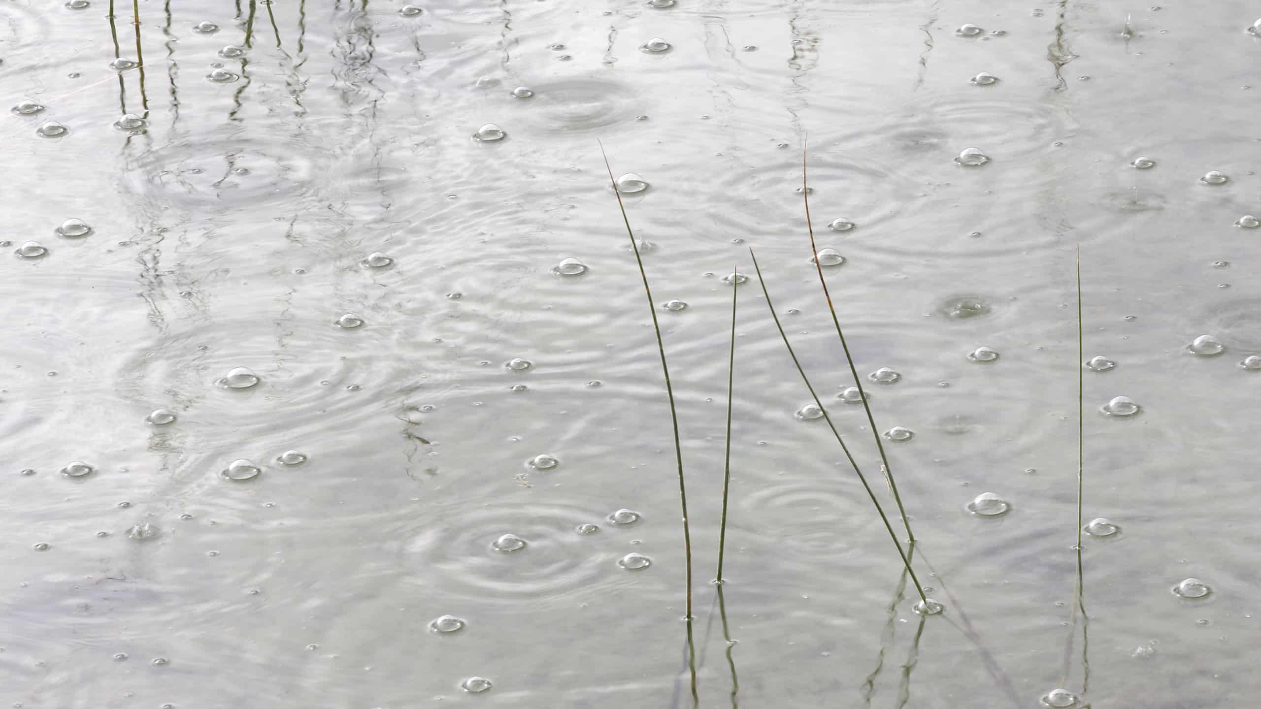 raindrops on water